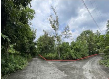 Lot 22, Block 16, Villa De Mercedes