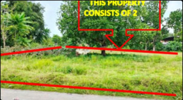 Lot 1290-E, Purok Pine Tree, Brgy. Poblacion Manuel Roxas, Sto. Niño, South Cotabato